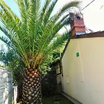 Danilo 48 Pula